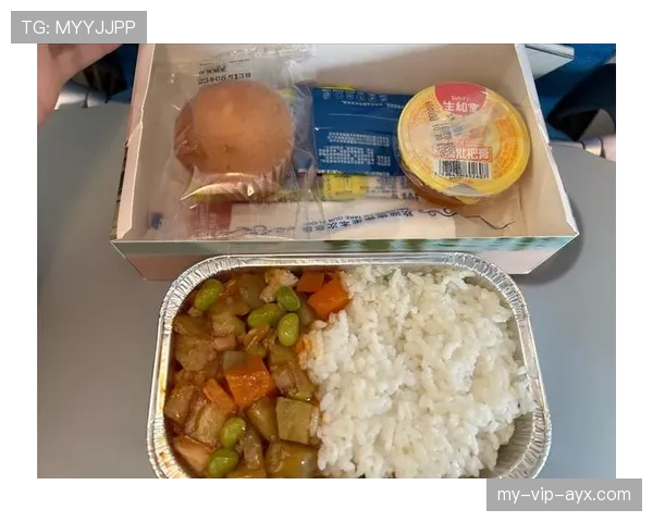 娜奥米·大阪拎着外卖袋从私人飞机下来的时候，我差点把手机掉地上